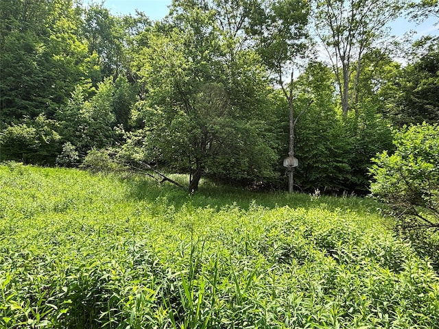 16 Indian Summer Rd, Deposit, NY 13754