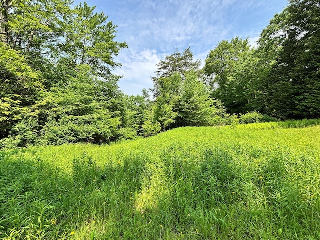 16 Indian Summer Rd, Deposit, NY 13754