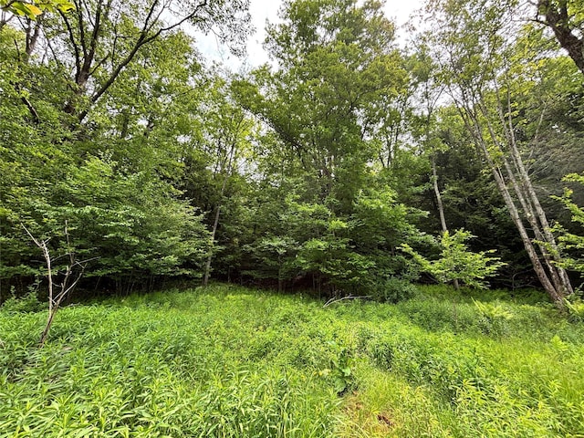 16 Indian Summer Rd, Deposit, NY 13754