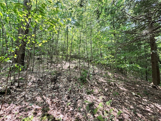 16 Indian Summer Rd, Deposit, NY 13754
