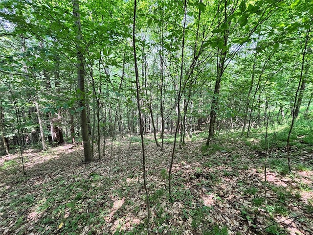 16 Indian Summer Rd, Deposit, NY 13754