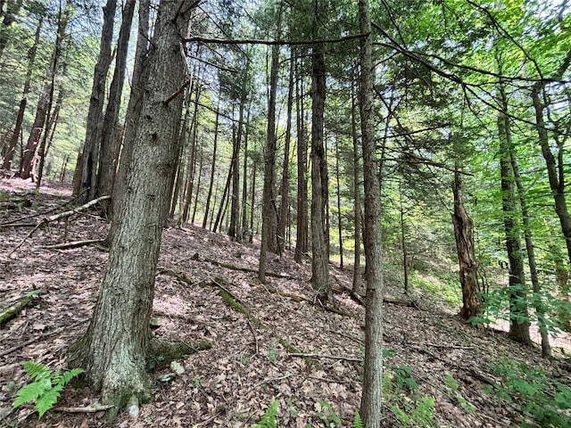 16 Indian Summer Rd, Deposit, NY 13754