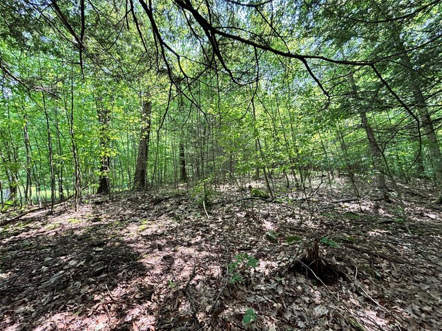16 Indian Summer Rd, Deposit, NY 13754