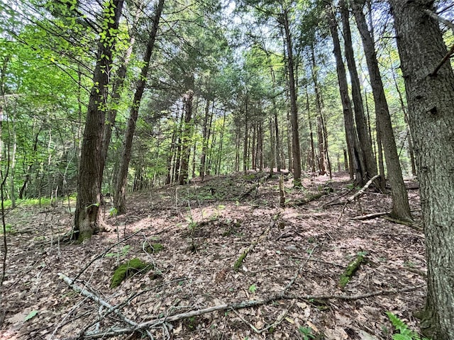16 Indian Summer Rd, Deposit, NY 13754