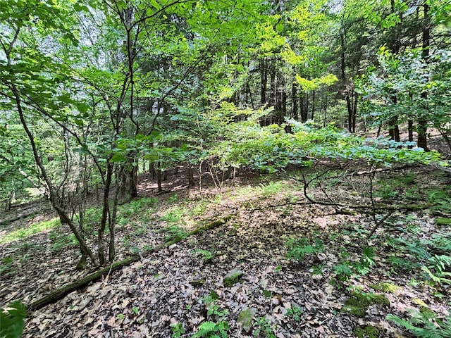 16 Indian Summer Rd, Deposit, NY 13754
