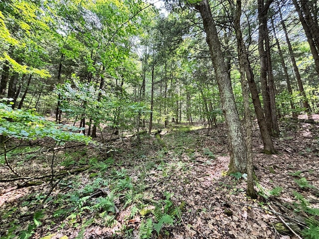 16 Indian Summer Rd, Deposit, NY 13754