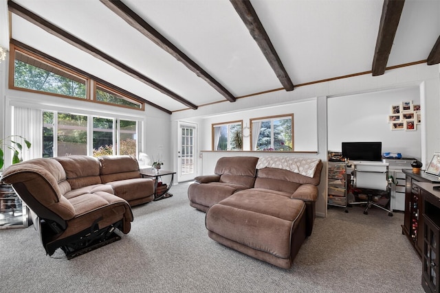 11 Beverly Ln, Peekskill, NY 10566 - living room with carpet and a desk