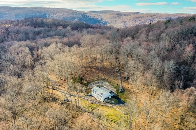 54 Nanny Hill Rd, Pawling, NY 12564 - photo 30