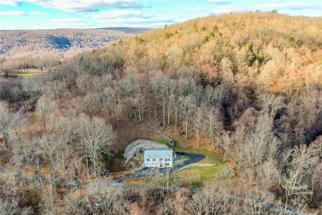54 Nanny Hill Rd, Pawling, NY 12564 - photo 31