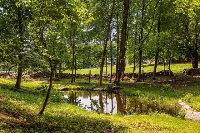 310 Mt Holly Rd, Katonah, NY 10536 - photo 8