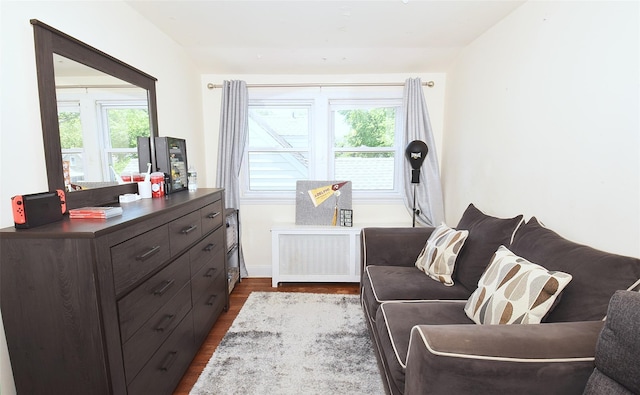 22 Hollywood Ave, Lynbrook, NY 11563 - living area with dark wood finished floors and radiator heating unit