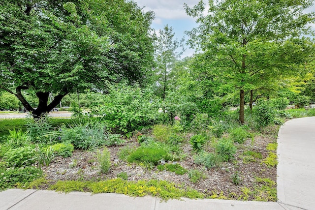 601 Pelham Pkwy N Unit 516, Bronx, NY 10467 - view of local wilderness