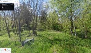 30-32 Dollard Dr, Monticello, NY 12701 - photo 1