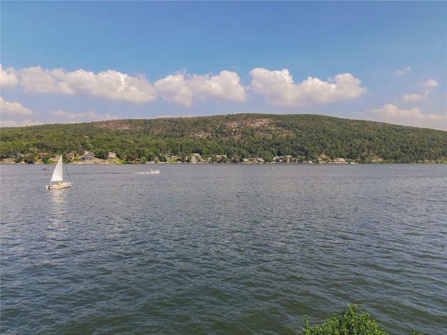 582 Jersey Ave, Greenwood Lake, NY 10925 - photo 5