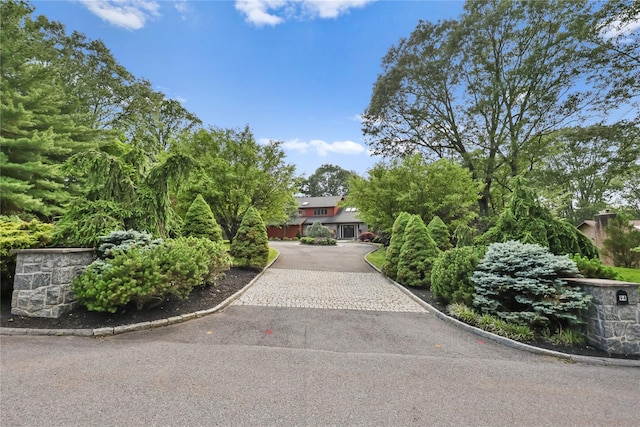 94 Hirst Rd, Briarcliff Manor, NY 10510 - view of property hidden behind natural elements