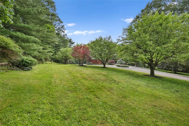 94 Hirst Rd, Briarcliff Manor, NY 10510 - view of green lawn