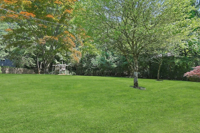 49 Nanny Hagen Rd, Thornwood, NY 10594 - view of grassy yard