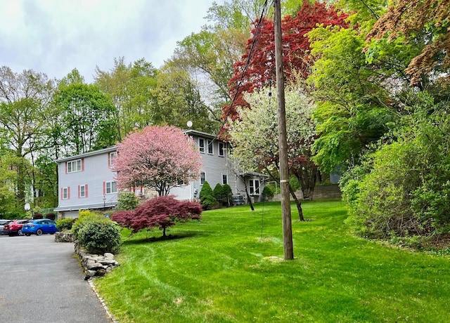 49 Nanny Hagen Rd, Thornwood, NY 10594 - view of front of home featuring a front lawn