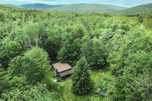 2567 Morton Hill Rd, Roscoe, NY 12776 - photo 19
