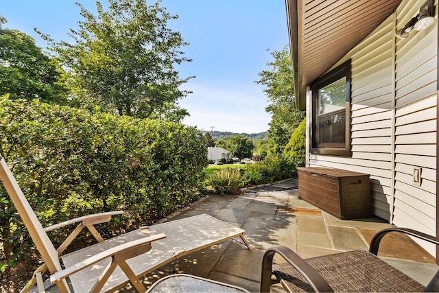 4 Devon Ct Unit B, Yorktown Heights, NY 10598 - view of patio / terrace with a mountain view