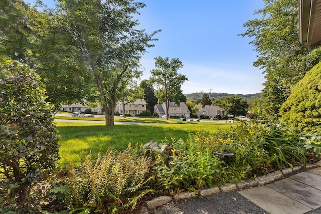 4 Devon Ct Unit B, Yorktown Heights, NY 10598 - view of green lawn with a residential view and a mountain view