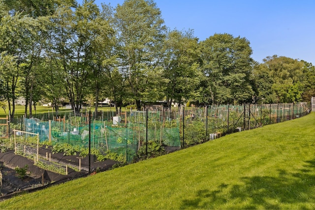 4 Devon Ct Unit B, Yorktown Heights, NY 10598 - view of yard with a garden
