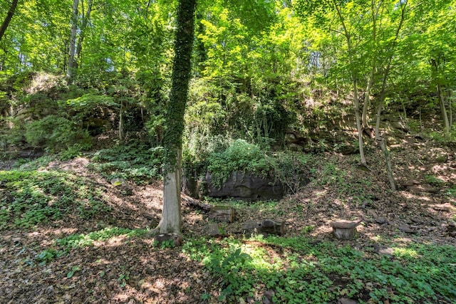 115 River Rd, Nyack, NY 10960 - view of woods