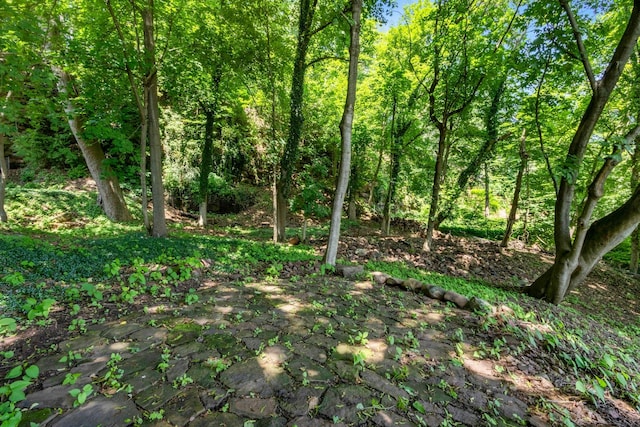 115 River Rd, Nyack, NY 10960 - view of tree filled area