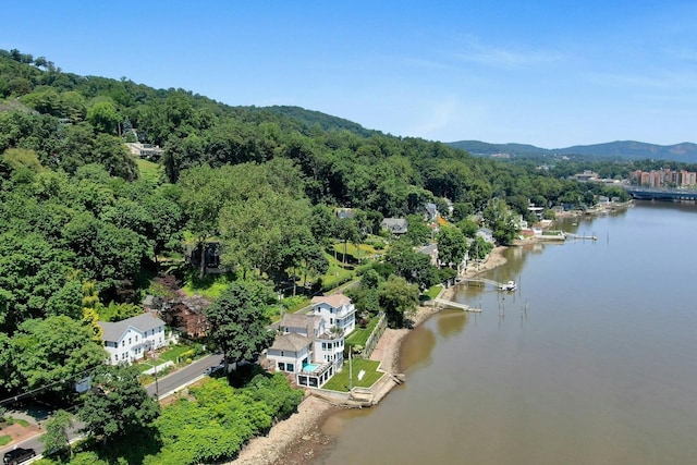 115 River Rd, Nyack, NY 10960 - aerial view of a large body of water and a forest