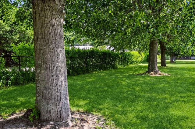 1000 Ninth St Unit H63, Greenport, NY 11944 - view of yard