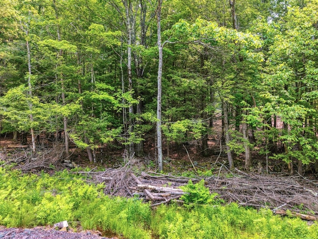 TBD Boulder Brook B Road, Windham, NY 12496 - photo 3