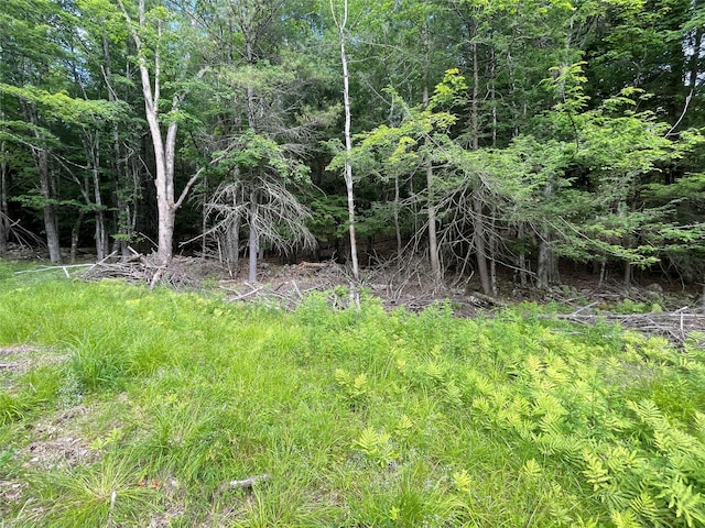 TBD Boulder Brook B Road, Windham, NY 12496 - photo 4
