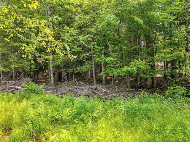 TBD Boulder Brook B Road, Windham, NY 12496 - photo 5
