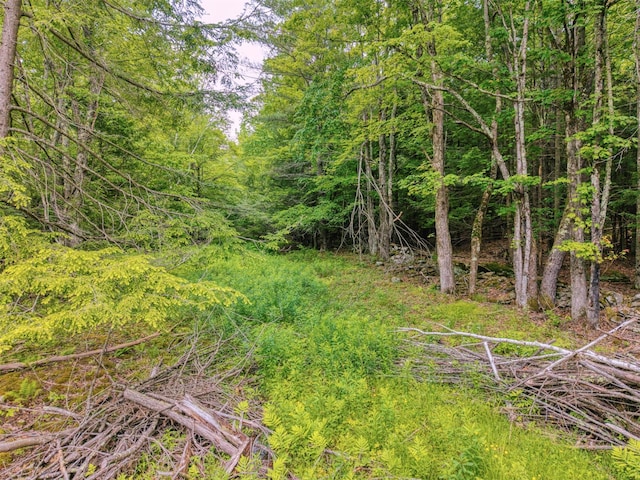 TBD Boulder Brook B Road, Windham, NY 12496 - photo 6
