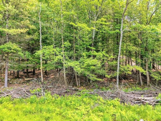 TBD Boulder Brook B Road, Windham, NY 12496 - photo 7