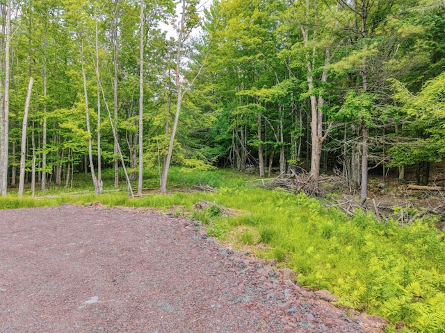 TBD Boulder Brook B Road, Windham, NY 12496 - photo 10
