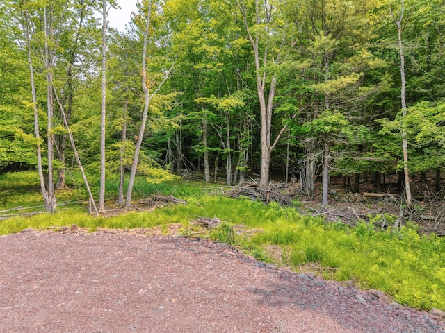 TBD Boulder Brook B Road, Windham, NY 12496 - photo 11