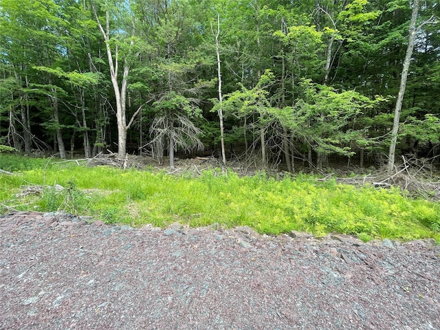 TBD Boulder Brook B Road, Windham, NY 12496 - photo 12