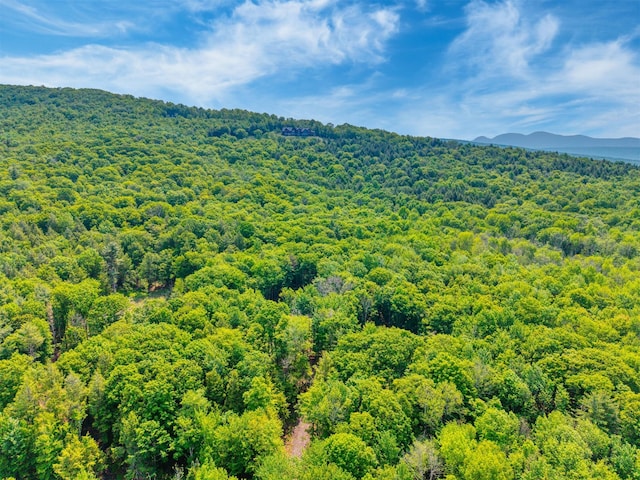 TBD Boulder Brook B Road, Windham, NY 12496 - photo 13