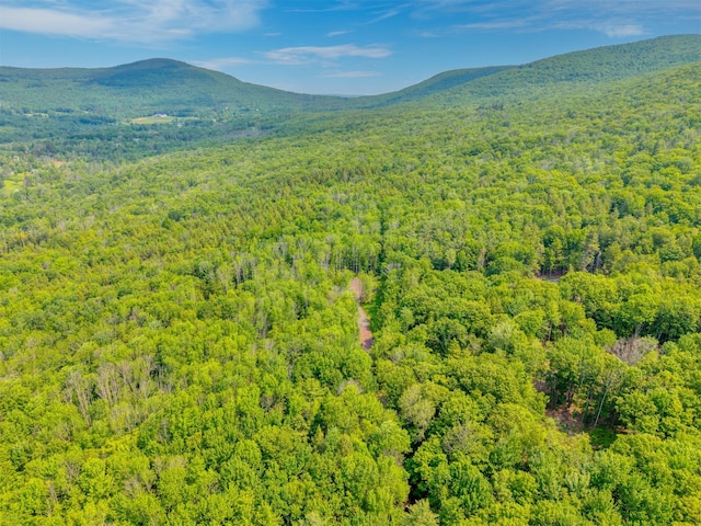 TBD Boulder Brook B Road, Windham, NY 12496 - photo 15