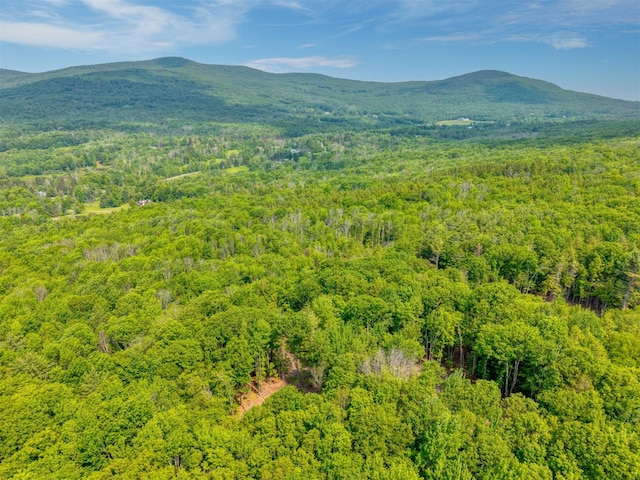 TBD Boulder Brook B Road, Windham, NY 12496 - photo 16