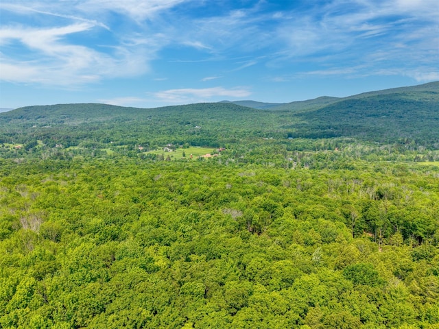 TBD Boulder Brook B Road, Windham, NY 12496 - photo 18