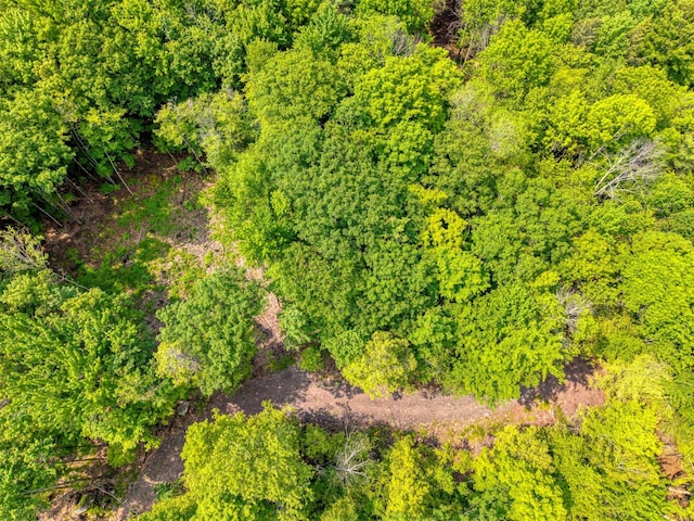 TBD Boulder Brook B Road, Windham, NY 12496 - photo 19