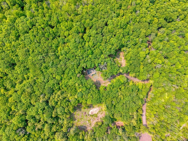 TBD Boulder Brook B Road, Windham, NY 12496 - photo 20