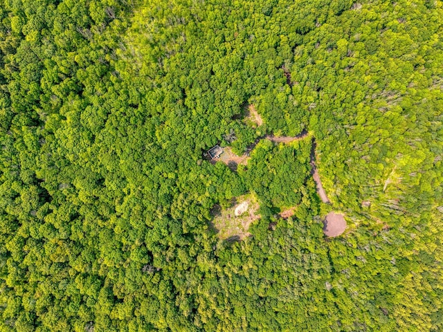 TBD Boulder Brook B Road, Windham, NY 12496 - photo 21