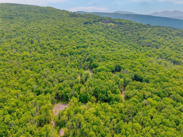 TBD Boulder Brook B Road, Windham, NY 12496 - photo 27