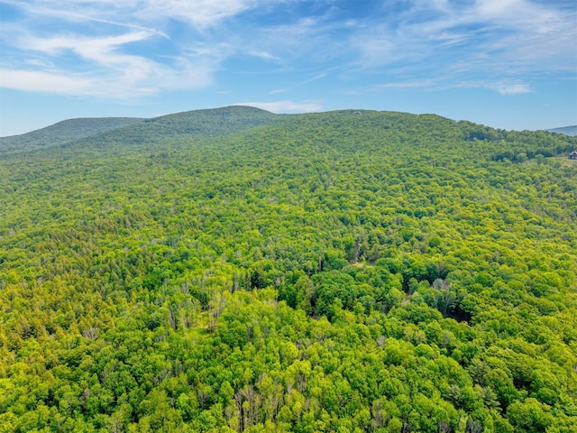 TBD Boulder Brook B Road, Windham, NY 12496 - photo 28