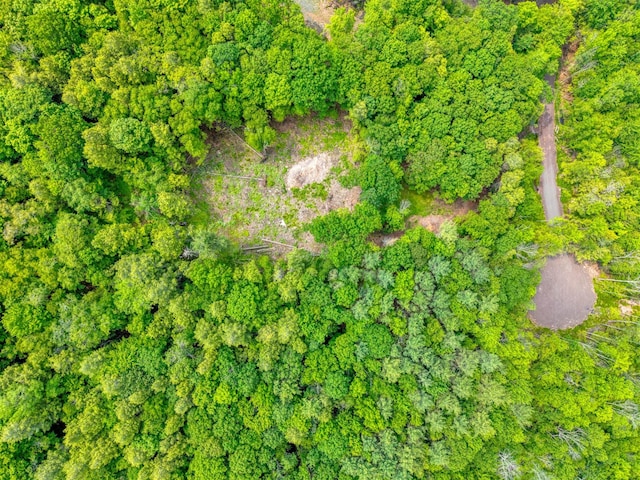TBD Boulder Brook B Road, Windham, NY 12496 - photo 29