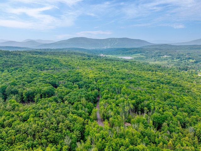 TBD Boulder Brook B Road, Windham, NY 12496 - photo 31