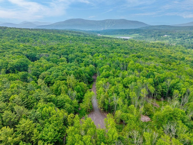 TBD Boulder Brook B Road, Windham, NY 12496 - photo 32